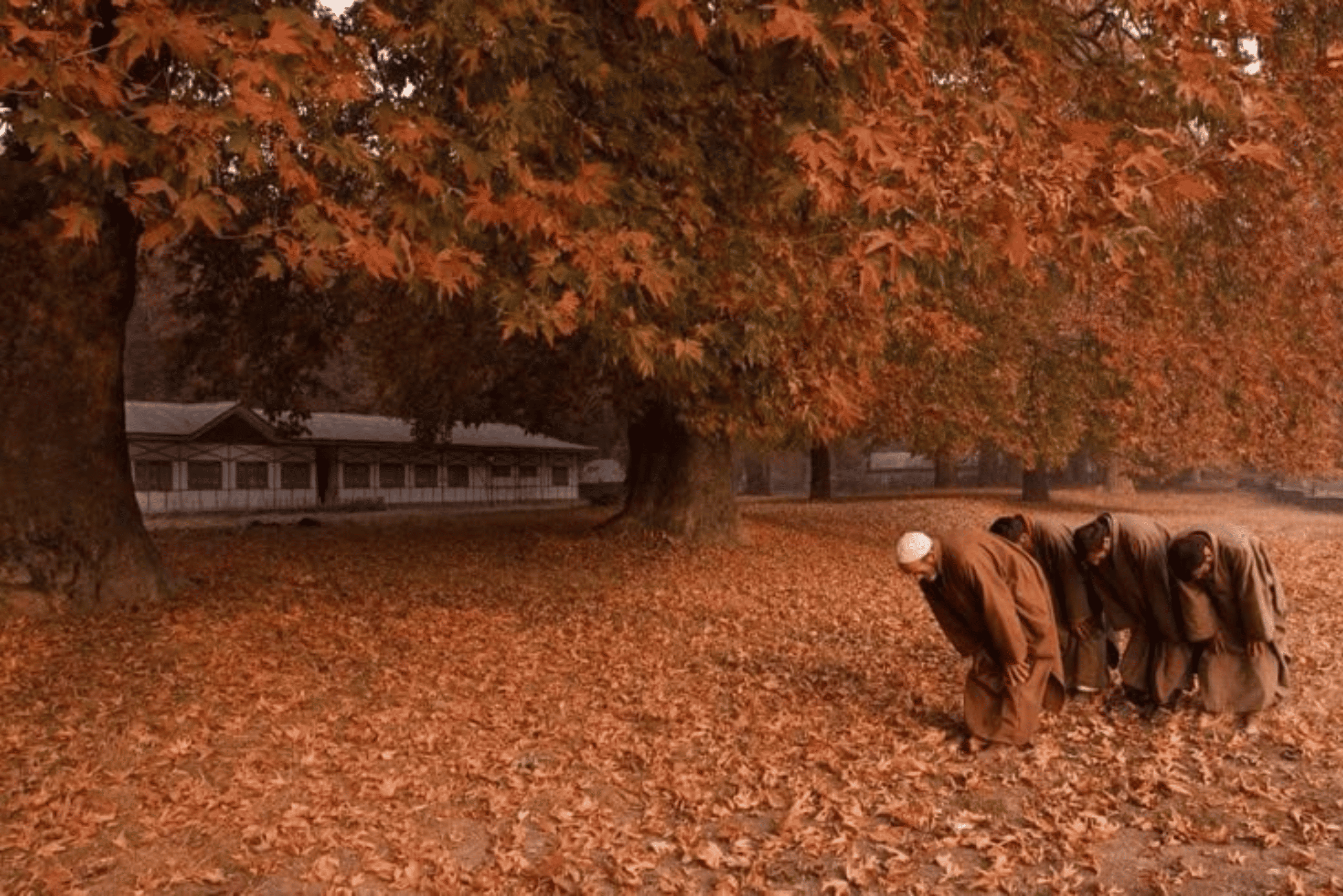 Autumn in Kashmir