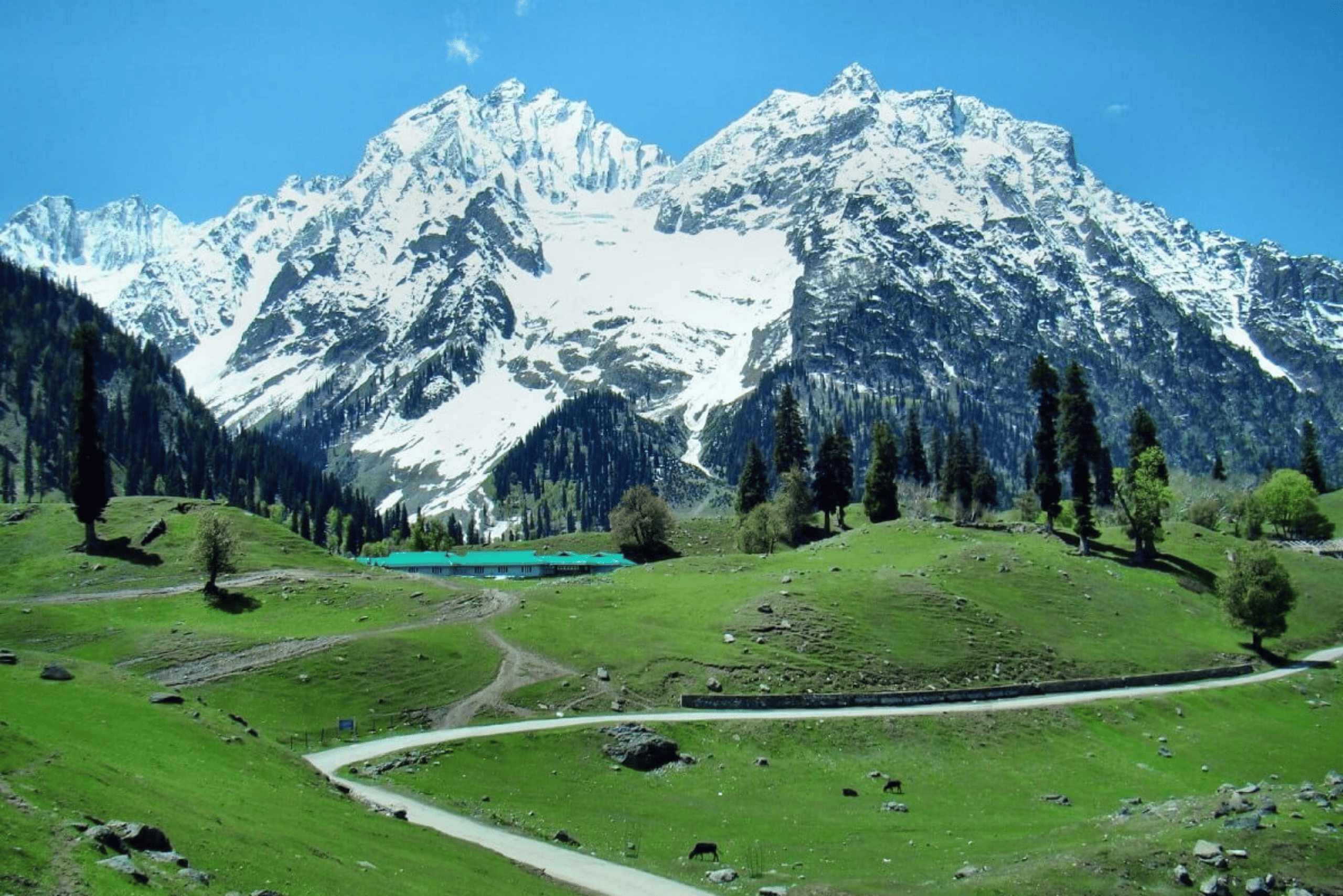Sonamarg Kashmir