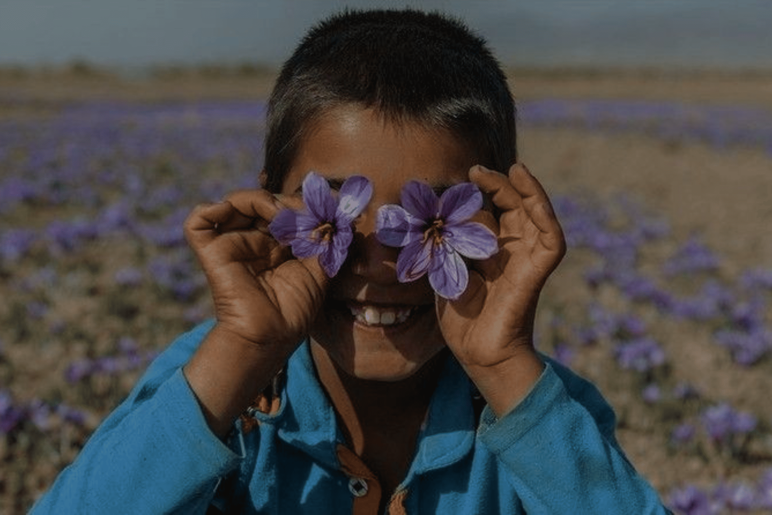 Saffron Fields Pampore