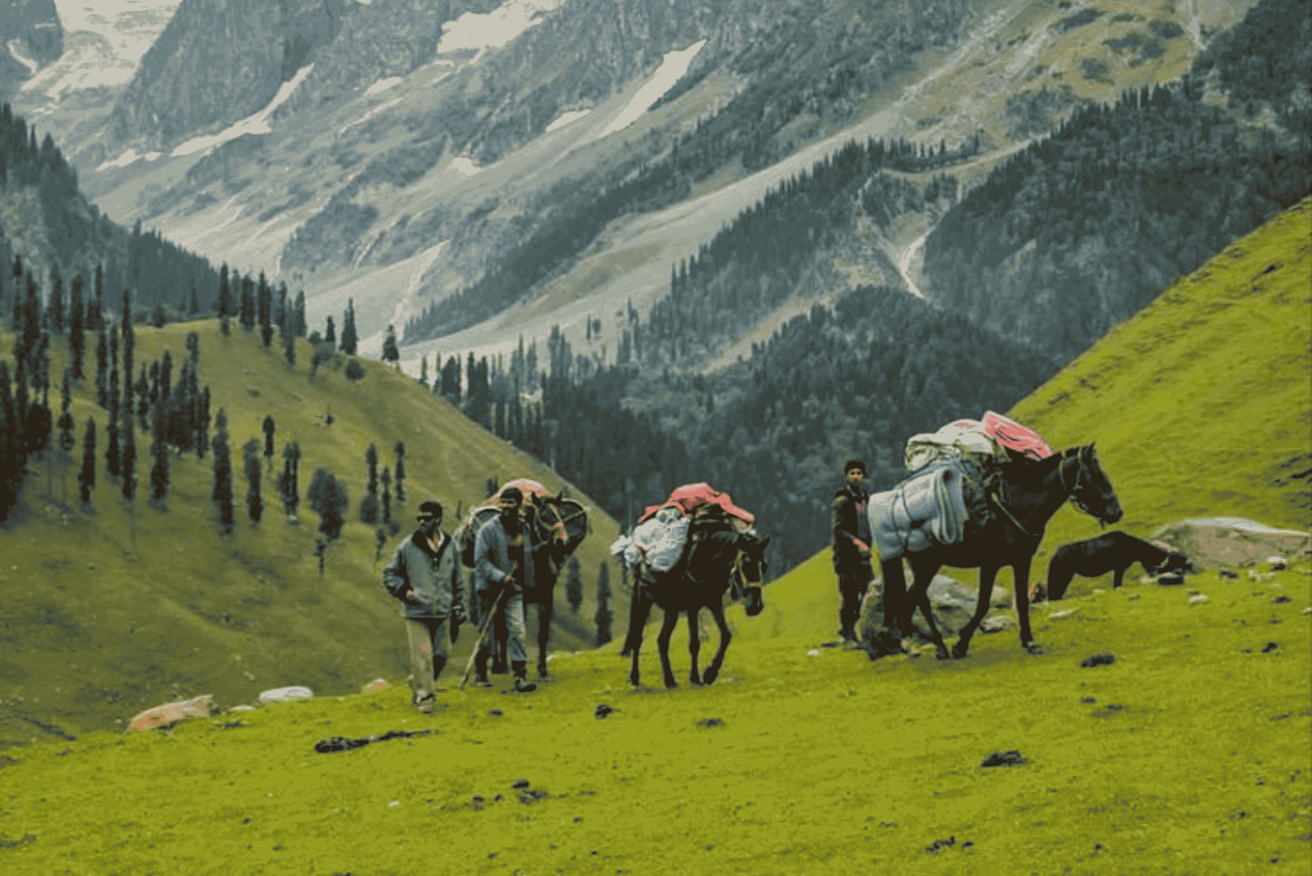 Trekking In Kashmir