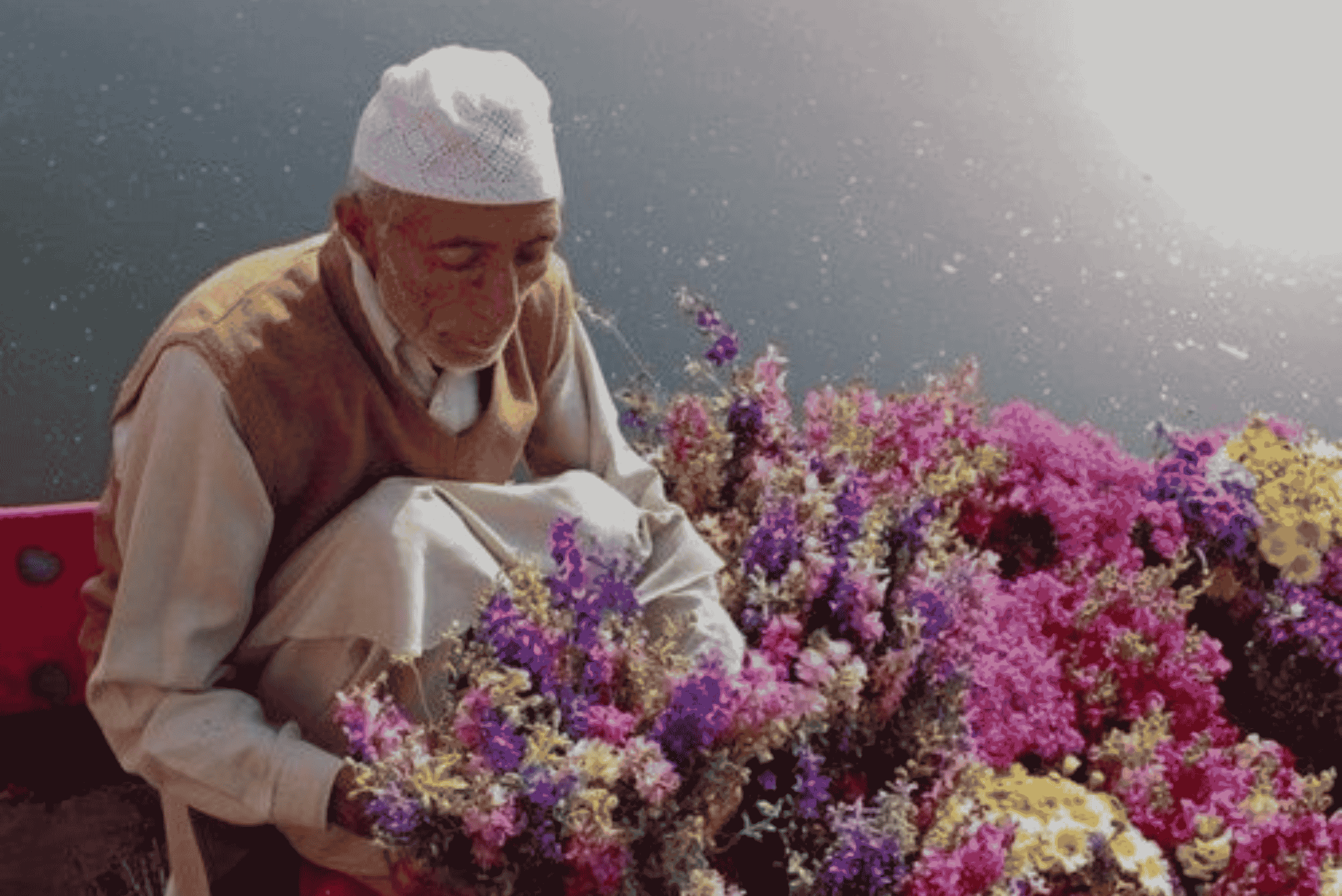 Honeymoon In Kashmir