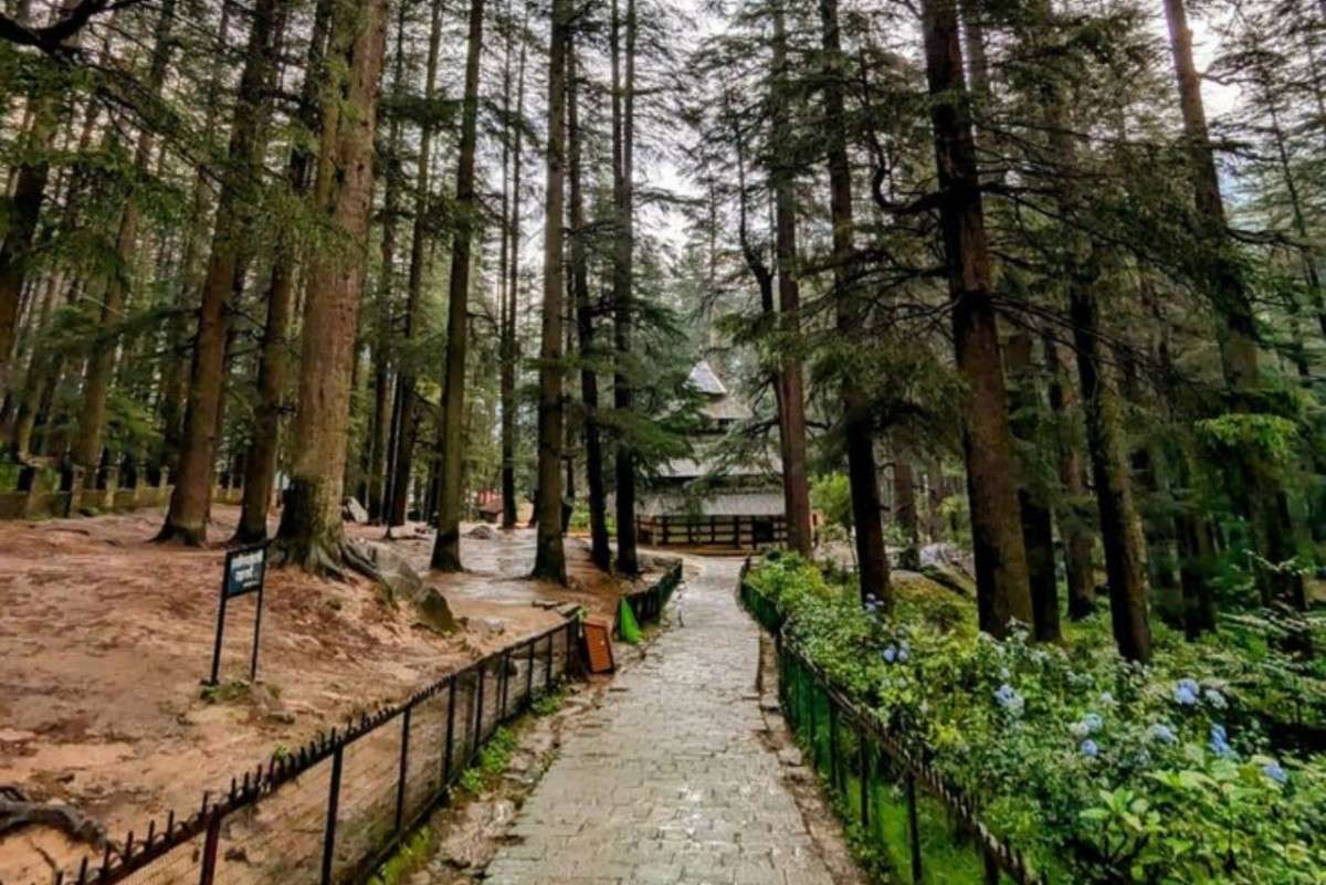Hidimba Devi Temple surrounded by cedar forest in Manali