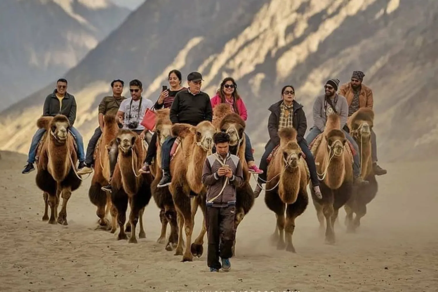 Camel safari experience in Nubra Valley during Ladakh tour