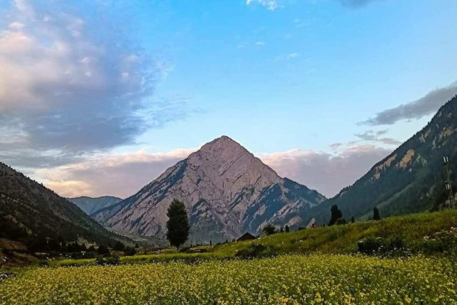 Famous Habba Khatoon mountain peak in Gurez Valley Kashmir with wildflower fields and Himalayan scenery